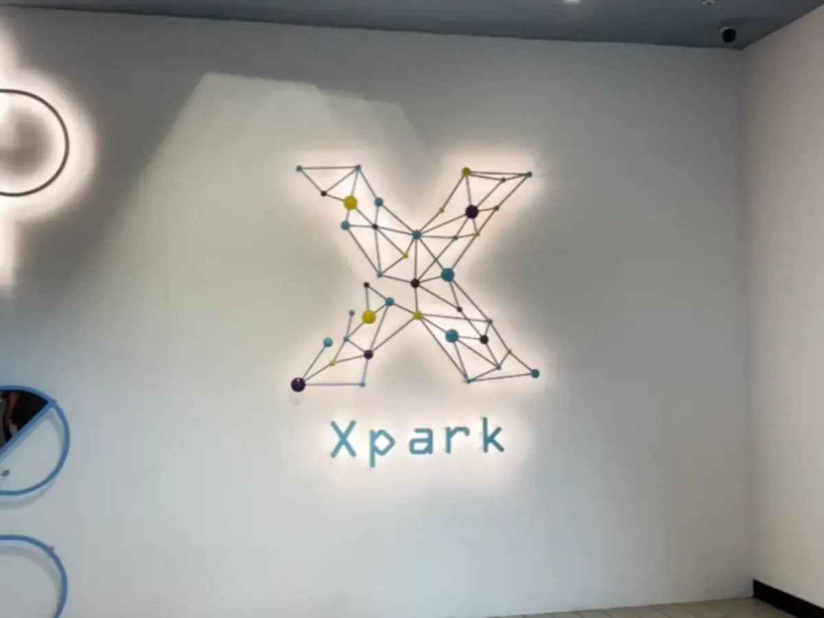 Xpark Penguin Guide: Humboldt, Magellanic, and King Penguins in Taoyuan Qingpu — 桃園, 臺灣 — 3 penguin species on site